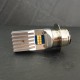 LED bulb 12 V 24/48 W P 36 D VINTAGE